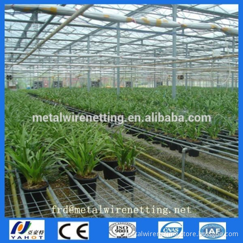 Galvanized welded wire mesh Seedbed nets with high quality(Manufacture)